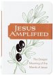 Jesus Amplified - Bild 1