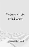 Contours of the Veiled Spirit