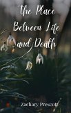The Place Between Life and Death The Place Between Life and Death