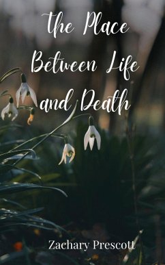 Cover The Place Between Life and Death
