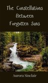 The Constellations Between Forgotten Suns The Constellations Between Forgotten Suns