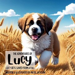Cover The Adventures of Lucy - Lucy Gets Saved From a Fall