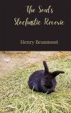 The Soul's Stochastic Reverie The Soul's Stochastic Reverie