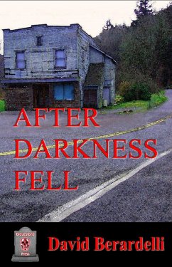 After Darkness Fell (eBook, ePUB) - Berardelli, David