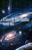 A Souvenir From Elanthia (eBook, ePUB)