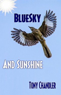 Cover Bluesky and Sunshine (Song of Life - Book 1) (eBook, ePUB)