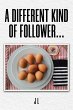 A Different Kind of Follower... (eBook,... - Bild 1