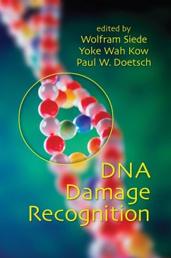 DNA Damage Recognition (eBook, ePUB)