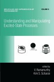 Understanding and Manipulating Excited-State Processes (eBook, ePUB)