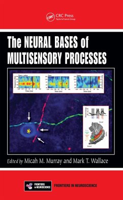 The Neural Bases of Multisensory Processes (eBook, ePUB)