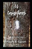 16 Campfires