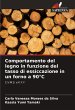 Comportamento del legno in funzione del... - Bild 1
