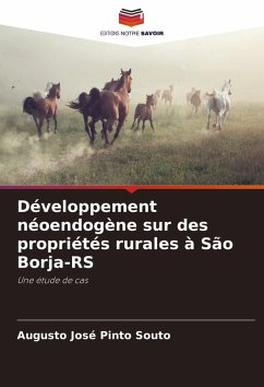 Développement néoendogène sur des propriétés rurales à São Borja-RS - Souto, Augusto José Pinto