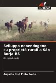 Sviluppo neoendogeno su proprietà rurali a São Borja-RS