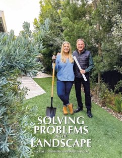 Solving Problems in the Landscape - Glassman, Michael; Santos, Janey