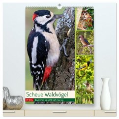 Cover Scheue Waldvögel (hochwertiger Premium Wandkalender 2026 DIN A2 hoch), Kunstdruck in Hochglanz