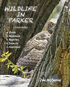 Wildlife In Parker
