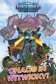 Chaos in Witwicky! Chaos in Witwicky!