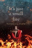 It's just a small fire It's just a small fire