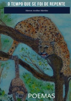 Cover O Tempo Que Se Foi De Repente (eBook, PDF)