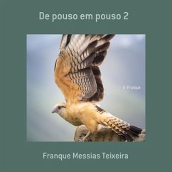 De Pouso Em Pouso 2 (eBook, PDF) - Teixeira, Franque Messias De Pouso Em Pouso 2 (eBook, PDF) - Teixeira, Franque Messias