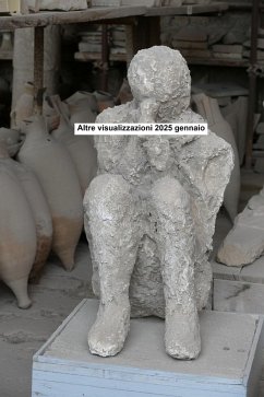 Cover Altre visualizzazioni 2025 gennaio (eBook, ePUB)