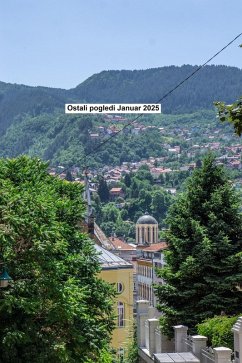 Cover Ostali pogledi Januar 2025 (eBook, ePUB)