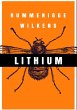 Lithium (eBook, PDF) - Bild 1