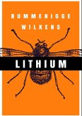 Lithium (eBook, PDF)