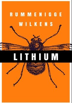 Lithium (eBook, PDF) - Wilkens, Rummenigge