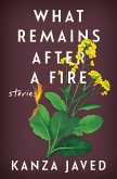 What Remains After a Fire (eBook, ePUB)