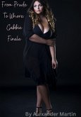From Prude To Whore: Gabbie Finale (eBook, ePUB)