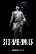 Stormbringer (Dreamwalker, #1) (eBook,... - Bild 1