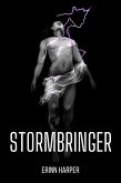 Stormbringer (Dreamwalker, #1) (eBook, ePUB) Stormbringer (Dreamwalker, #1) (eBook, ePUB)