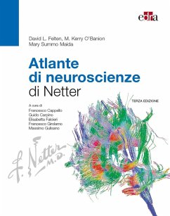 Cover Atlante di neuroscienze di Netter
