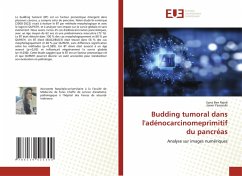 Budding tumoral dans l'adénocarcinomeprimitif du pancréas - BEN REJEB, SARRA;Yaacoubi, Jasser