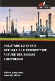 VALUTARE LO STATO ATTUALE E LE PROSPETTIVE FUTURE DEL BIOGAS COMPRESSO
