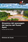 Dinamica del paesaggio del bacino del fiume Apeú