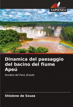 Cover Dinamica del paesaggio del bacino del fiume Apeú