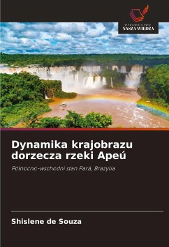 Cover Dynamika krajobrazu dorzecza rzeki Apeú