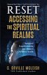 Reset: Accessing the Spiritual Realms:... - Bild 1