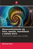 Desenvolvimento da face, maxila, mandíbula e palato duro