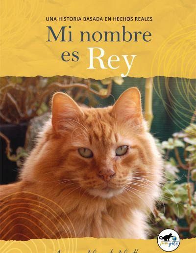 Mi nombre es Rey : una historia basada en hechos reales Mi nombre es Rey : una historia basada en hechos reales