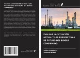 EVALUAR LA SITUACIÓN ACTUAL Y LAS PERSPECTIVAS DE FUTURO DEL BIOGÁS COMPRIMIDO