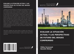 EVALUAR LA SITUACIÓN ACTUAL Y LAS PERSPECTIVAS DE FUTURO DEL BIOGÁS COMPRIMIDO Cover EVALUAR LA SITUACIÓN ACTUAL Y LAS PERSPECTIVAS DE FUTURO DEL BIOGÁS COMPRIMIDO