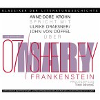Ein Gespräch über Mary Shelley - Frankenstein (MP3-Download)