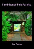 Caminhando Pelo Paraíso (eBook, ePUB)