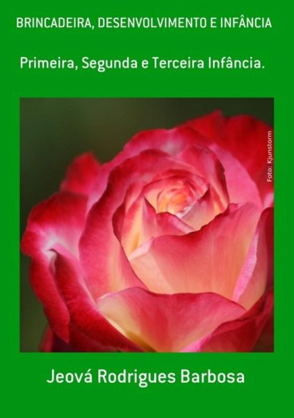 Brincadeira, Desenvolvimento E Infância (eBook, ePUB)