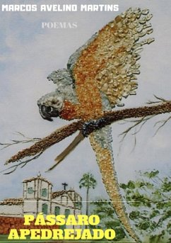 Cover Pássaro Apedrejado (eBook, ePUB)