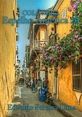 Colômbia Espelho América 26 (eBook, ePUB)